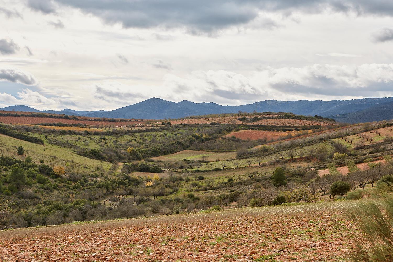 Pajarilla De *